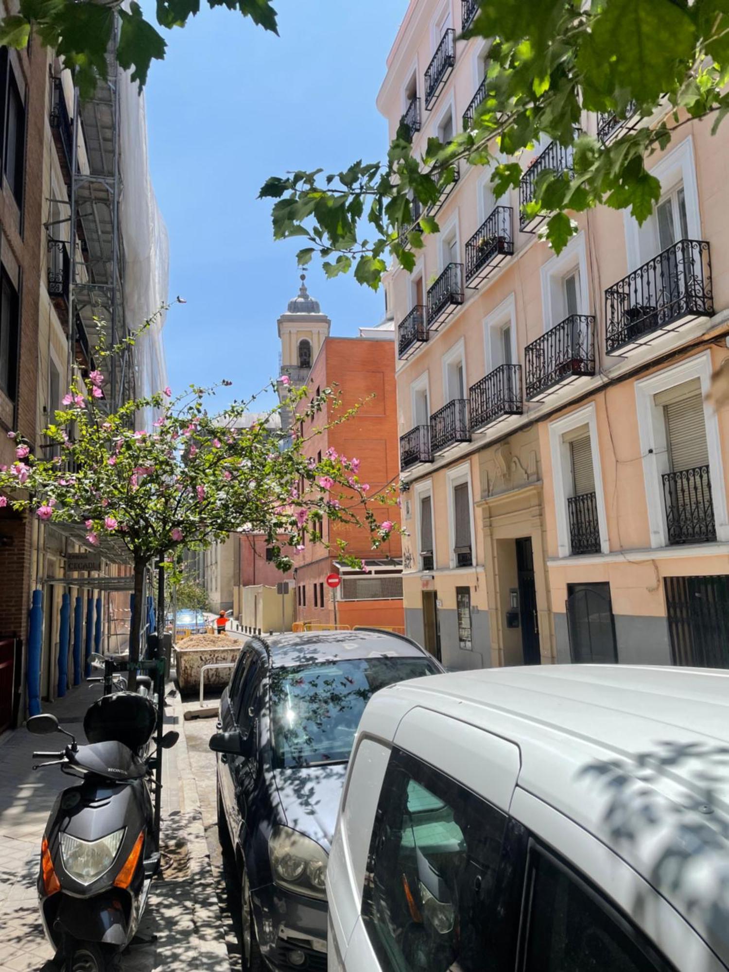 Апартаменты San Buenaventura Vistillas Apartamento Para Dos Мадрид Экстерьер фото